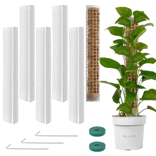 Vicloon Plastic Moss Poles 6PCS Moss Pole 24inch Plant Poles for Climbing Plastics Stackable Plant Poles for Indoor Plants Climbing Creepers with Hook and Loop Fastener