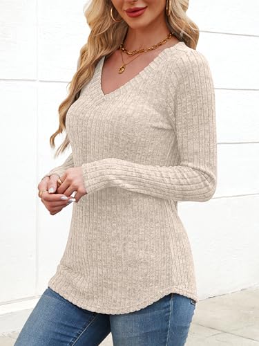 ANRABESS Womens Long Sleeve Shirts V Neck Lightweight Sweater Tops 2025 Fall Dressy Casual Work Tunic Blouse4