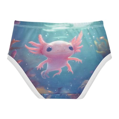 Cute Axolotl Undersea Toddler Girls's Underwear 2T 202b88382