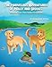 The Marvelous Adventures of Molly and Brooks: Volume One: The Creek Chronicles