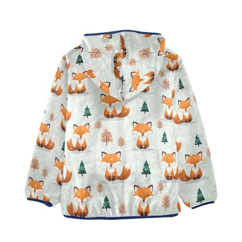 CHIFIGNO Cute Cartoon Fox Toddler Zip up Hoodie Boy Sweatshirt Jacket for Fall Winter Fleece Zip up Jacket 3T2
