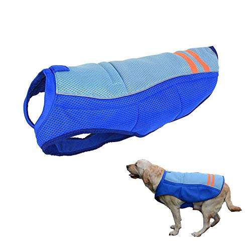 kühlweste hund TEST und Erfahrungen