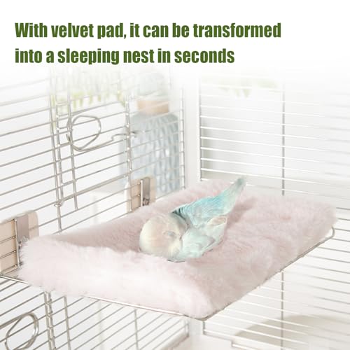 Cage pour oiseaux et support en acier inoxydable au design durable et épuré - 4