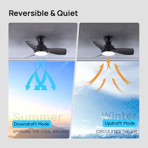 Consciot Ceiling Fan, 30 Inch Ceiling Fan With Lights Remote Control, Black Low Profile Modern Ceiling Fan, Flush Mount, Reversible Quiet DC Motor, 6 Speed, Dimmable, Kitchen Bedroom Patio Damp Rated