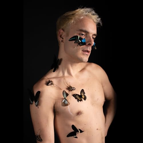 David Franklin Courtright