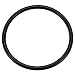 Pentair 273062 O-Ring Replacement Pool/Spa Pump and Valve