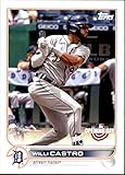 2022 Topps Opening Day Baseball #73 Willi Castro Detroit Tigers Official MLB Trading Card (Stock Photo shown, card is straight from Pack and Box in Near Mint to Mint Condition)