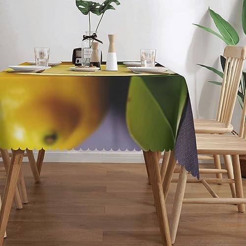 Nappe rectangulaire imperméable pour repas en extérieur et cuisine