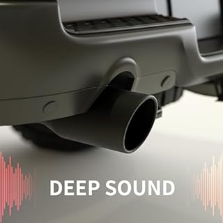 Richeer 2.75 to 3.5 inch Inlet exhaust tip, 5" Outlet 12" Long, Stainless Steel with Black Powder Finish, Fit 2.75''/3''/3.5'' Outer Diameter Tailpipe, Rolled Edge, Bolt on