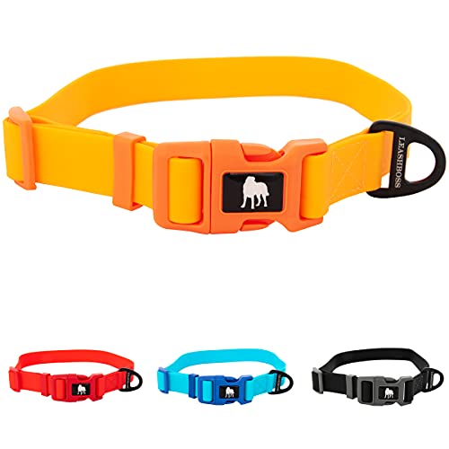 Top 10 Best Dog Collar For Swimming Reviews & Buying Guide Katynel
