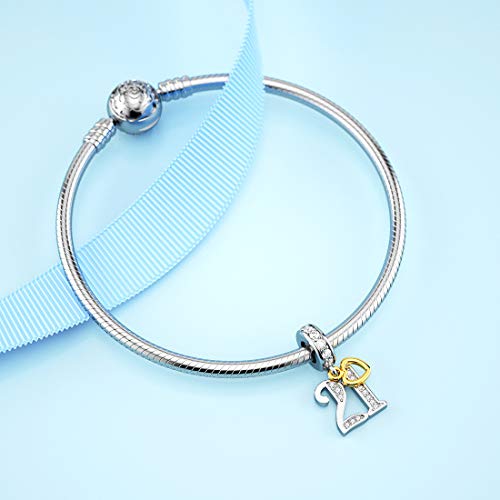 DALARAN Birthday Number 21st 30th 40th 50th Celebration Letter Charm for Bracelets Present for Women Wife Sister Friends2