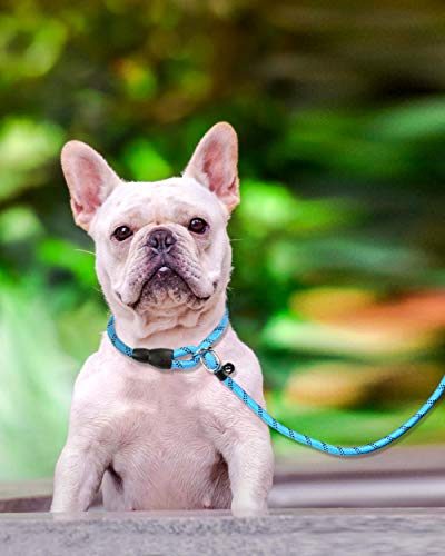 Tagme 6 Ft Slip Lead Dog Leash,12 Colors,Reflective Strong Rope Slip Leash With Padded Handle,Durable No Pulling Pet Training Leash For Puppy/Small Dogs,Sky Blue #TOP5