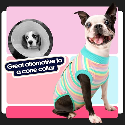 Image of FUAMEY Recovery Suit for Dogs After Surgery,Soft Breathable Dog Bodysuit E-Collar & Cone Alternative Surgical Suit,Male Female Dog Neuter Spay Suits Anti Licking Wounds Onesie Mint Green Stripes L
