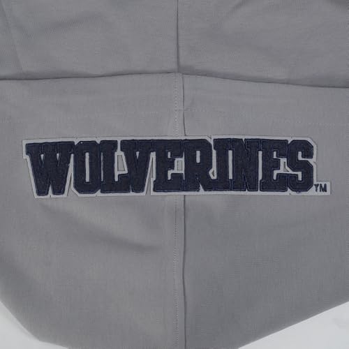 Image of Pro Standard Mens College Classic Chenille Cotton Double Knit Full Zip Hoodie