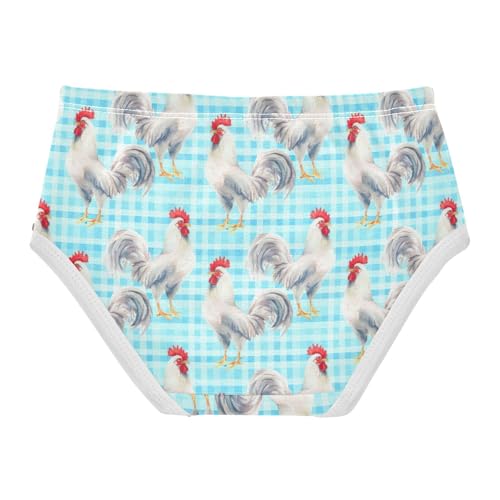 Joisal Cotton Toddler Underwear Floral White Roosters Blue Stripes Panties for Girl Fun Print Undies Kids Briefs 2t2