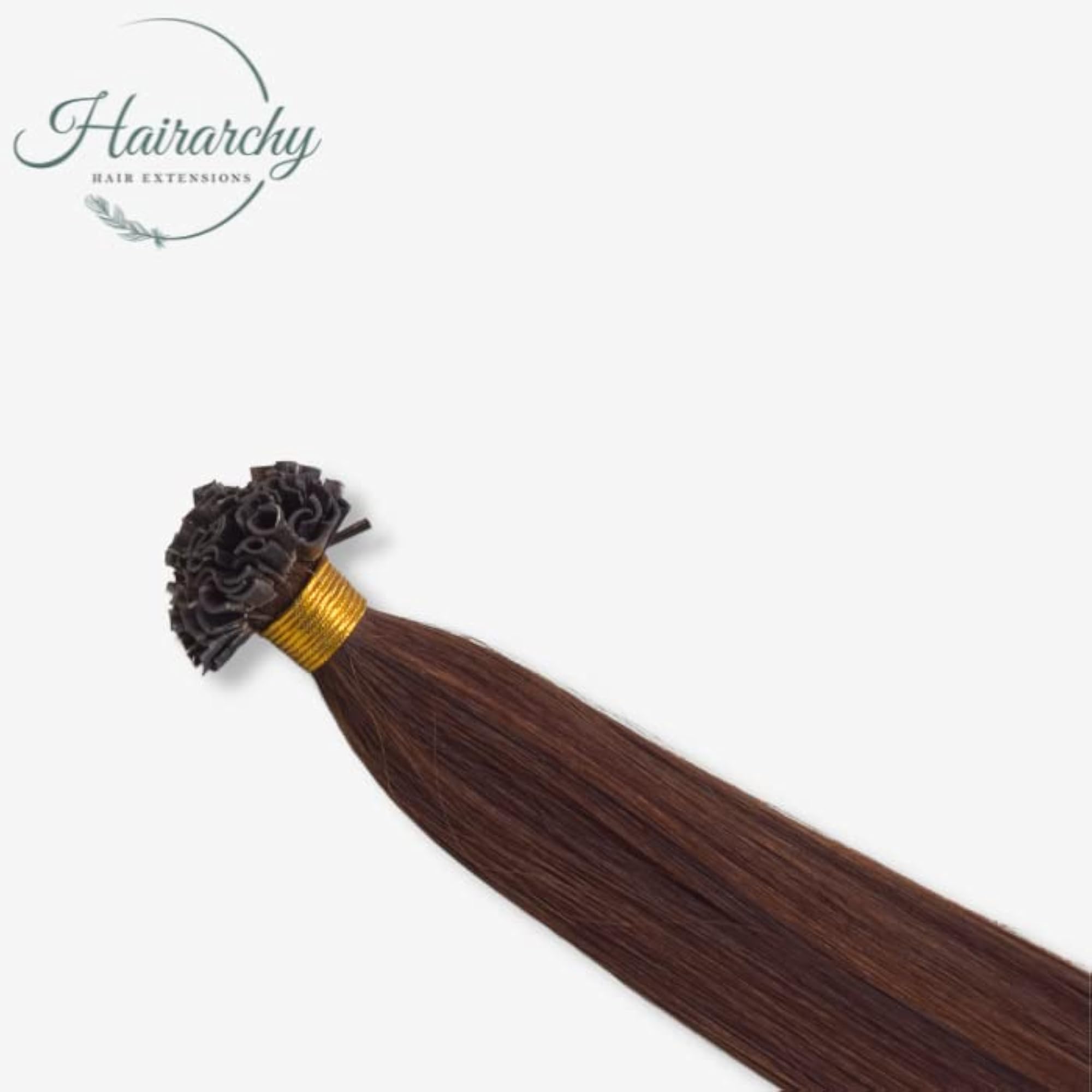 Hairarchy U-Tip Real Human Hair Extensions, 24 Inch, Chocolate Brown