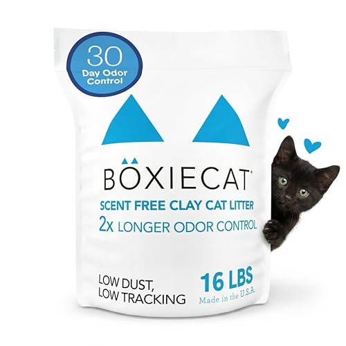 Boxie Unscented 30 Day Odor Control Clumping Clay Cat & Kitty Litter 16 lb, 99.9% Dust-Free, Hard Flat Top Clumps, No Fragrances No Fillers, Long-Lasting, Easy to Scoop