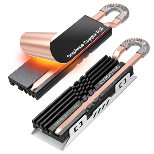Ya en mundofriki.es: GRAUGEAR HeatPipe - Disipador térmico para M.2 NVMe SSD (2280) para PC, con adhesivo térmico de cobre grafeno (para PC)