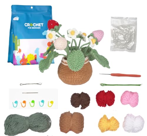 Crochet Set for Plant Flower Potted Plant Series - a
