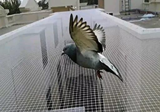 Image of 15 ft x 15 ft Bird Control net for Balcony and Garden | Nylon Bird net for Windows to Protect House from Birds | Size Bird net 15 ft x 15 ft