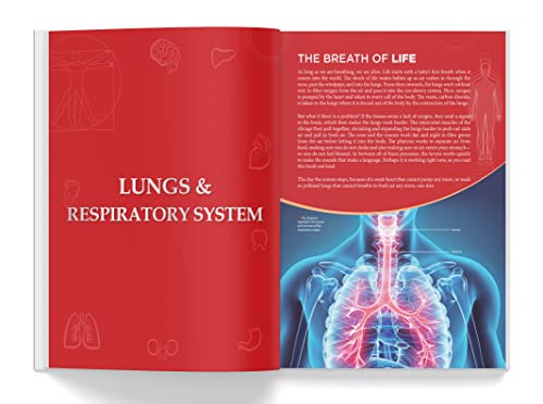 Knowledge Encyclopedia - Human Body (Knowledge Encyclopedia for Children)