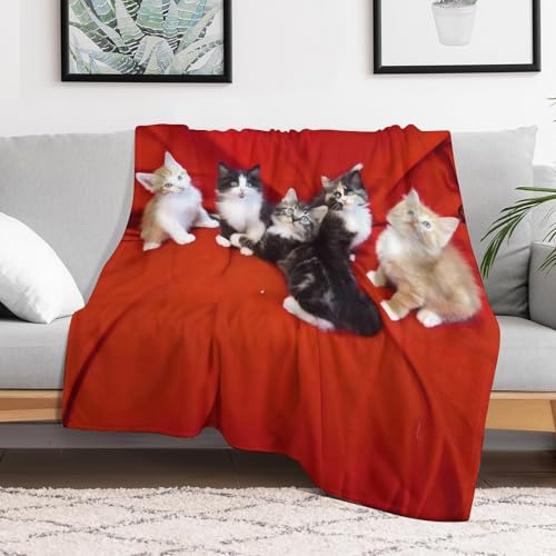 Grande couverture micro polaire chat chaude légère plaid lit canapé