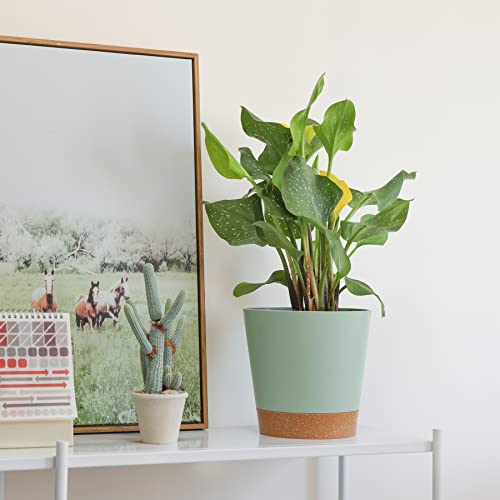 CSYY Blumentopf Set 7-teilig Mit Bewässerung - Kunststoff Übertöpfe Für Innen & Balkon