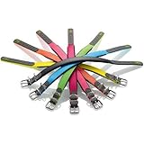 HUNTER Hundehalsband CONVENIENCE COMFORT, Farbe: neongelb, Mit Neopren-Polsterung, witterungsbeständig, pflegeleicht, ideal für Sport & Freizeit, Größe: 55