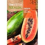 Rocalba Semillas de Papaya Carica Papaya