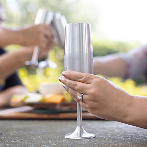 D'eco Stainless Steel Premium Quality Unbreakable Champagne Flutes, 8 Oz Glasses- Set Of 2- Reusable Indoor Outdoor Drinkware - Great For Entertaining & Parties - Great Holiday & Wedding Gift #TOP4