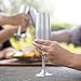 Unbreakable 8 Oz Stainless Steel Champagne Flutes (2 Pk)- Stemmed Matte Silver Champagne Glasses - Reusable Indoor Outdoor Drinkware - Keeps Drink Cold - Great for Holiday Cocktail Parties & Xmas Gift