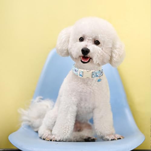 ARING PET Hundehalsband, Niedliches Dinosaurier-Hundehalsband mit Schnellverschluss aus Kunststoffschnalle, Bequemes Halsband aus Baumwolle für Jungen und Mädchen Hunde