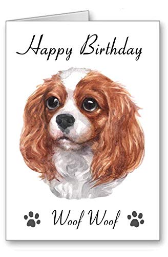 Cavalier King Charles Spaniel Dog Birthday Card Happy Birthday to You Not Personalised but Suitable for eg Friend Sister Mum Daughter Granddaughter Auntie Husband Brother Son Grandson Uncle