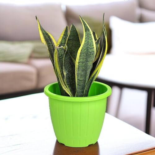 Image of Go Hooked Sunshine Flower Pot /Planters for Home Decor, Plastic Pots for Gardening /Home, Flower Pots Indoor-Outdoor & Planter for Plants (Green) (Pack of 2)