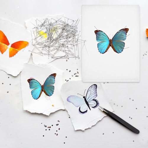 Image of 18 PCS Insect Specimen Tools Kit Large Insect Display Case Box Wooden Collection Box with Clear Top, 2 EVA Foam Pinning Board 10 Sheets Thin Tracing Paper 200 Pins 2 Tweezers 1 Scissors 1 Knife