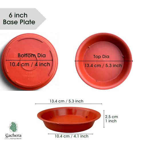 Image of Plant Saucer Base Plate for Pots | Premium Planter Tray |100% Virgin Plastic, UV Treated, Durable & Lightweight | Ideal for Indoor & Outdoor (5, 6 inch Tr)