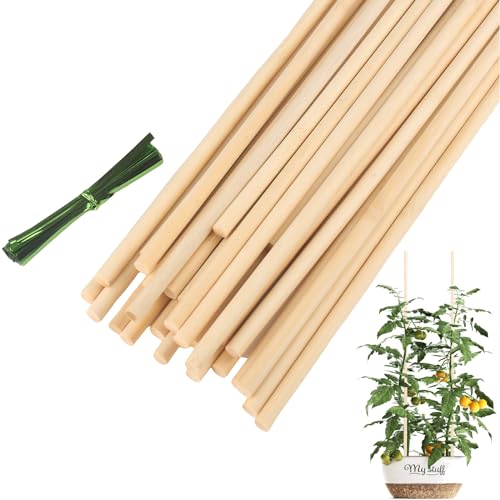 10 Best Wooden Plant Stakes for Supportive Gardening Success 6 Bamboo Plant Stakes for Indoor Gardening (28 PCS)