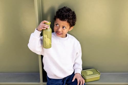 Botella para niños Trixie de acero inoxidable 500ml Mr Dino 5