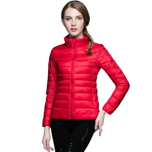 [HongzyFirm] _EWPbg fB[X y EgCg g _ER[g t H ~   h n Cg_E AE^[ h ʋ oR AEghA  RpNg    X^gJ[ JWA