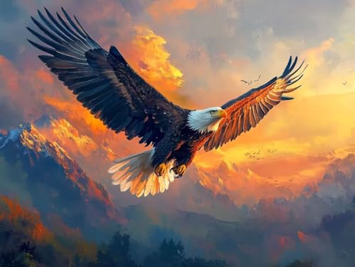 Peinture par numéro aigle ciel grand format 50x70cm pour réussir sa déco sans dessiner
