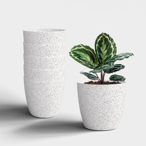 Image of YUCCABE ITALIA SHERA Stella 6 Inch Plastic Plant Pot for Home Decor Indoor Plant Pots for Living Room Plastic Flower Pot for Garden (Ivory, 6 INCH - 6 Pcs)