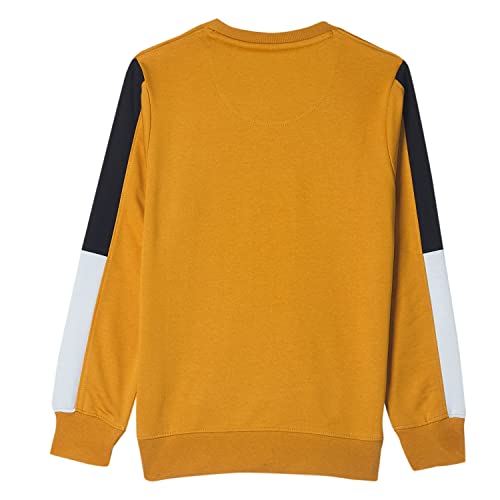 Image of Monte Carlo Boys Coton BLND Maroon Print Round Neck Sweatshirt