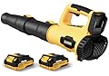 Leaf Blower, 21V Cordless Electric Blower with 2 2.0Ah Batteries and 1 Hour Fast Charger, Lightweight Leaf Blower for Patio Cleaning, Lawn Care, Blowing Fallen Leaves and Dust, etc.