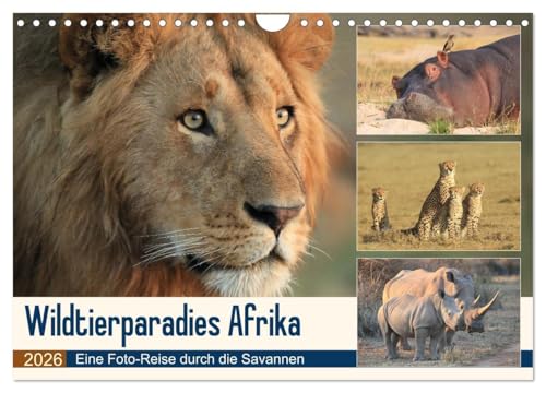 L'Afrique, paradis des animaux sauvages - un voyage photographique à travers la savane, Version française (Calendrier mural 2026 DIN A4 portrait), Calendrier CALVENDO mensuel