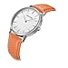 HOLSTOUR Watches for Mens Minimalist Fashion Business Wrist Watch Analog with Silver Case Leather Strap