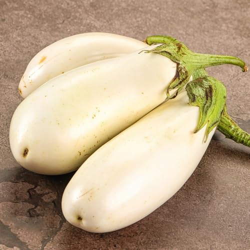 auberginensamen balkon - indoor bio hochbeet garten 80pcs