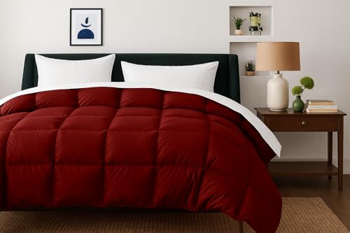 Image of Comforter Double Bed - All Season /AC /Summer Solid Double Bed Comforter Blanket | Dohar | Duvets |Ultra Soft & Light Weight - (300 GSM, Red)