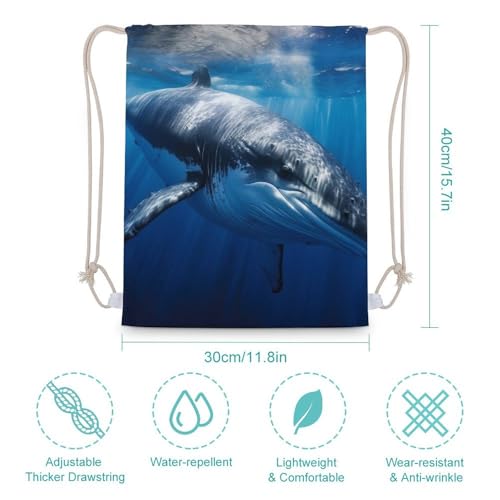 Drawstring Bag Backpack Ocean Animal Fish Posters Sackpack Foldable String Bags Sports Gym Bag for Shopping Yoga2