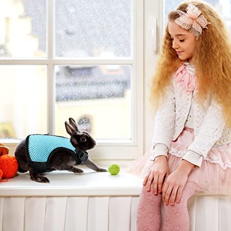 Weiches Kaninchen Geschirr Mit Leine - 2 Stück Mesh Kätzchen Haustier Hasen Geschirr Verstellbar Mit Elastischer Haustier Joggen Leine