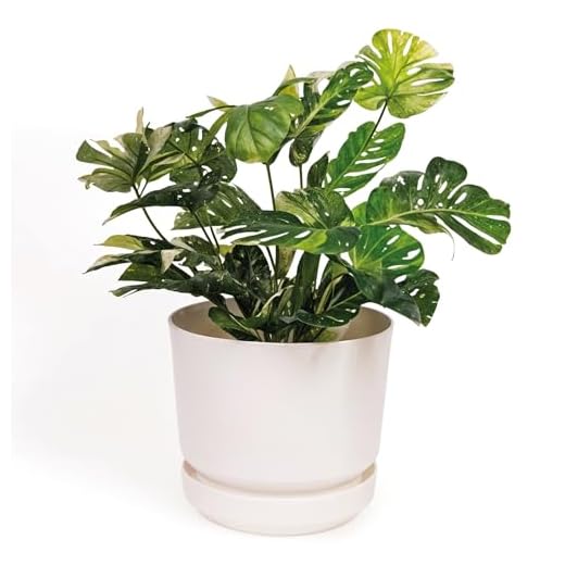 Elly Décor 12 inch Plastic Cylinder Planter Pot with Self-Watering Saucer and Drainage Hole,Lightweight & Extremely Durable, 12"x 12", White